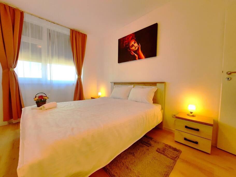 Beautiful Panoramic Central Apartment - City Of Mara Тимишоара Экстерьер фото