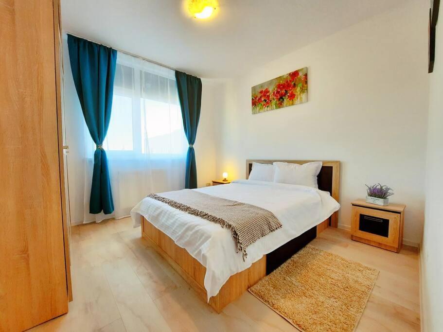 Beautiful Panoramic Central Apartment - City Of Mara Тимишоара Экстерьер фото